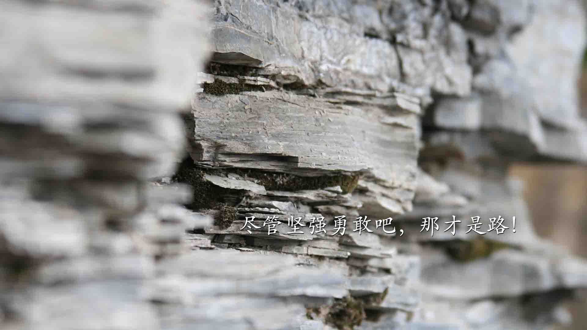 _未来体育数字化：虚拟运动场馆引领潮流_，虚拟运动会