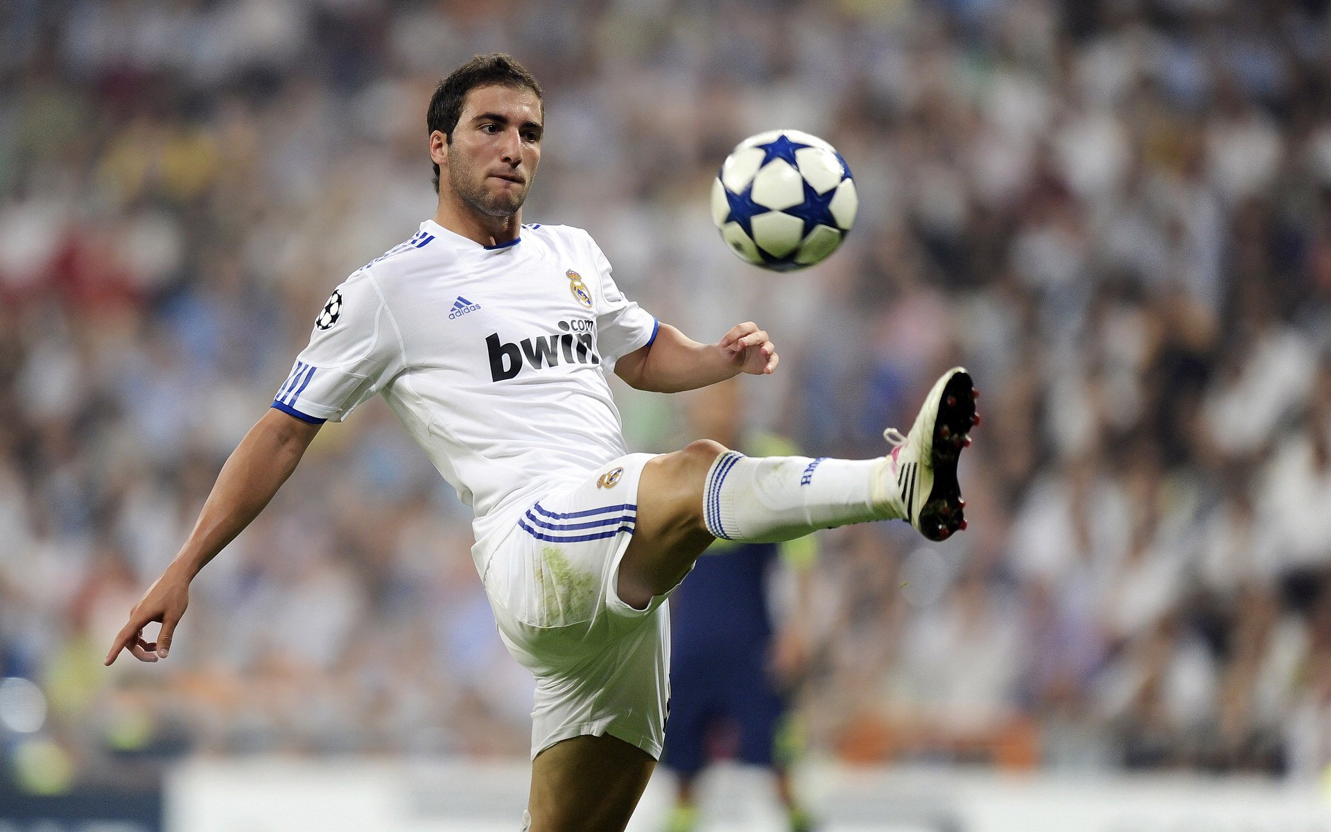 开云在线直播-法甲未来之星：崭露头角，引领足球潮流！，足球未来之星阵容